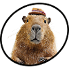 Cabybara