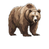 Grizzly Bear Brown Bear