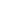 White Echo logo