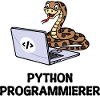 Programmer Computer Code Developer Statement