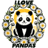 I Love Pandas