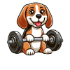 Beagle with dumbbell fitness training