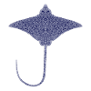 Ray – Flotteur élégant des mers
