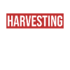 Collection of rainwater