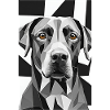 LABRADOR KONGE 3
