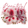 Schöne Aura-Blumen