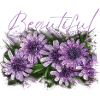 Beautiful Persephone Flowers