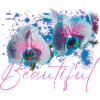 Beautiful Aphrodite Flowers
