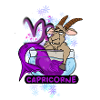 «Capricorne »
