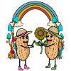Peanut Nut Rainbow Sunflower Gardening
