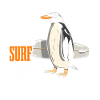 Pingouin Surf Surfer Funny Gift