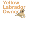 Yellow Labrador Retriever