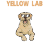 Yellow Labrador Retriever