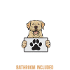 Labrador Retriever jaune