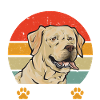 Labrador Retriever jaune