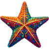 Starfish