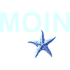 Bonjour avec Starfish