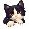 Tuxedo Kitten Tuxedo Cat