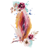Vulva
