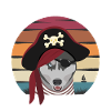 pirate dog