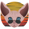 sphinx cat sunset