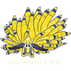 Sea snail, sapsucker, Costasiella sp.01