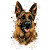 Berger allemand | Berger allemand