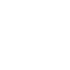 Grizzly Bear Brown Bear