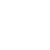 Grizzli Ours brun