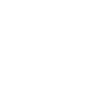 Grizzly Bear Brown Bear