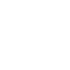 Grizzly Bear Brown Bear