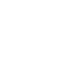 Grizzli Ours brun