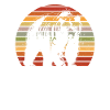 Grizzly Bear Brown Bear