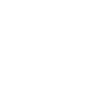 Grizzly Bear Brown Bear