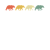 Grizzly Bear Brown Bear