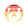 Grizzly Bear Brown Bear