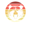Grizzly Bear Brown Bear