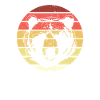 Grizzly Bear Brown Bear
