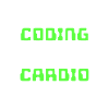 Developer Statement Code Skripting Webentwickler