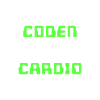 Coden Statement Developer Computerfreak Skripting
