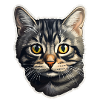 British Shorthair Cat Head
