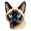 Siamese Cat Head