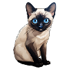 Siamkatze niedlich