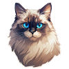 Ragdoll Cat Head