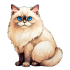 Ragdoll Cat