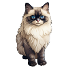 Ragdoll-Katze