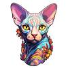 Sphynx Cat Head