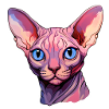 Sphynx Cat Head