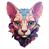 Sphynx Cat Head