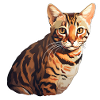 Cat Bengali